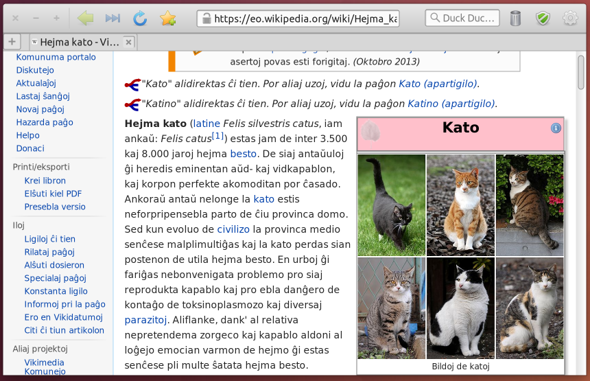 Midori featuring headerbar and Adblock in the toolbar